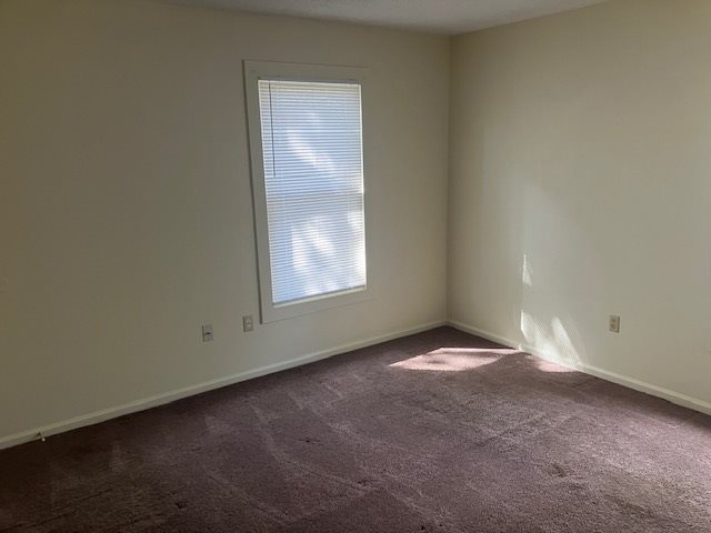 Gallery Photo 4